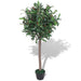 Dafin artificial cu ghiveci, 120 cm, verde - WALTI WALTI