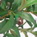Dafin artificial cu ghiveci, 120 cm, verde - WALTI WALTI