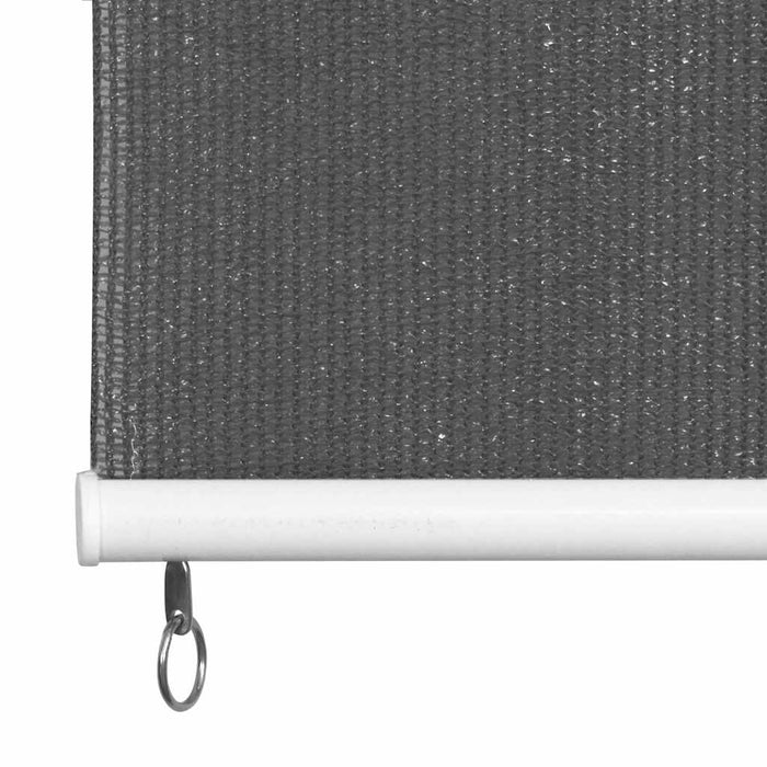 Jaluzea tip rulou de exterior 355 (l) x 140 (î) cm, antracit WALTI