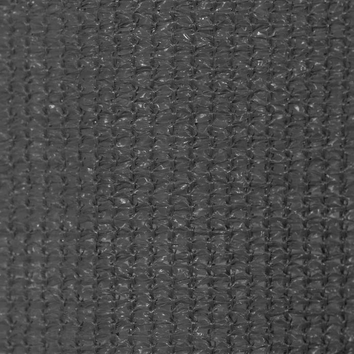 Jaluzea tip rulou de exterior 245 (l) x 230 (î) cm, antracit WALTI