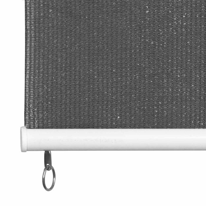 Jaluzea tip rulou de exterior, 400 x 230 cm, antracit - WALTI WALTI