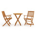 Set mobilier bistro pliabil, 3 piese, lemn masiv de acacia - WALTI WALTI