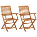 Set mobilier bistro pliabil, 3 piese, lemn masiv de acacia - WALTI WALTI