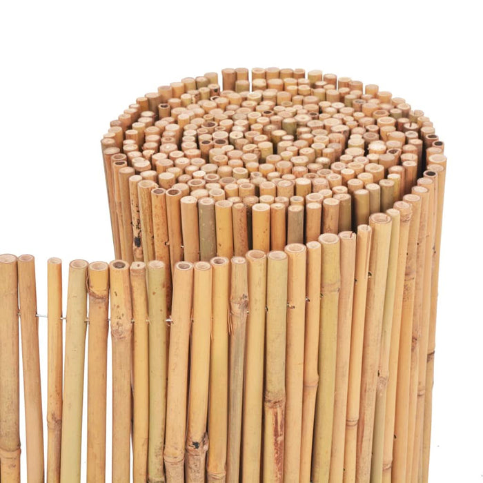 Gard din bambus, 500 x 30 cm - WALTI WALTI