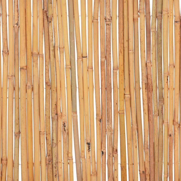 Gard din bambus, 500 x 30 cm - WALTI WALTI