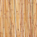 Gard din bambus, 500 x 30 cm - WALTI WALTI