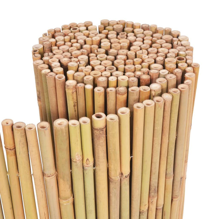 Gard din bambus, 300 x 100 cm - WALTI WALTI