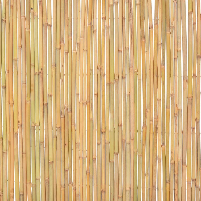 Gard din bambus, 300 x 100 cm - WALTI WALTI