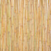 Gard din bambus, 300 x 100 cm - WALTI WALTI