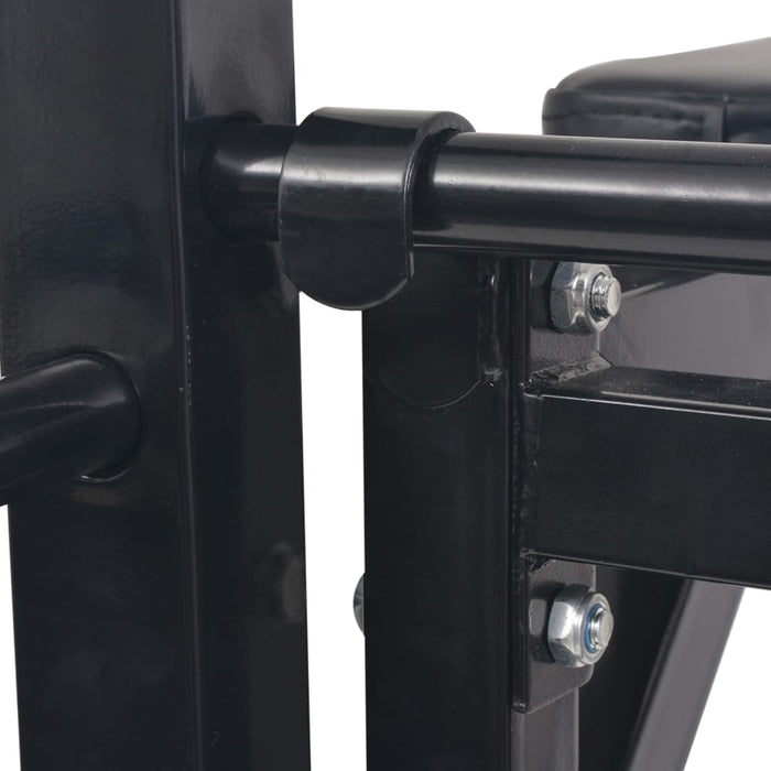 Turn Fitness multifuncțional de perete, negru - WALTI WALTI