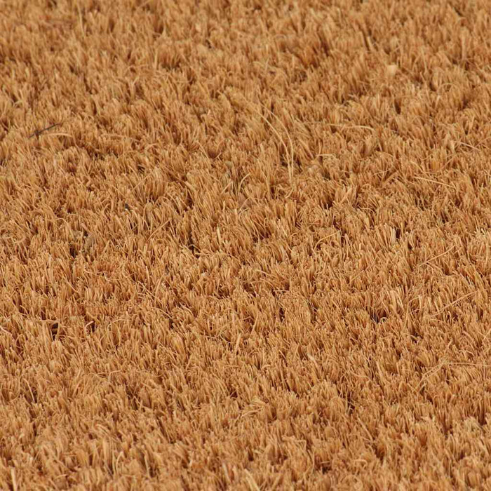 Covor de intrare, fibră nucă cocos, 24 mm, 80 x 100 cm, natural WALTI