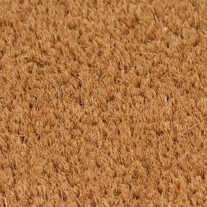 Covor de ușă, fibră de nucă cocos, 24 mm, 100 x 100 cm, natural WALTI