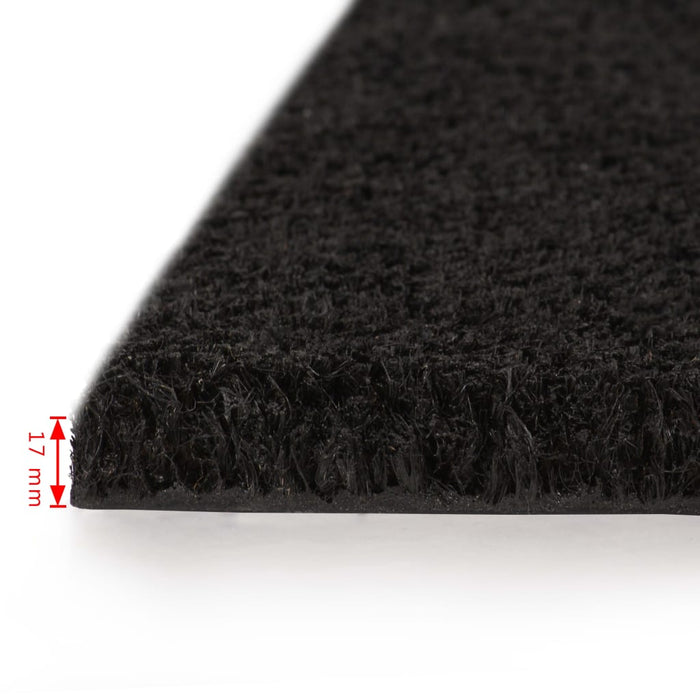 Covor intrare, fibră de nucă cocos 17 mm, 100x200 cm, negru WALTI