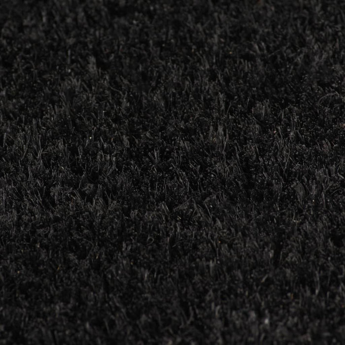 Covor intrare, fibră de nucă cocos 17 mm, 100x200 cm, negru WALTI