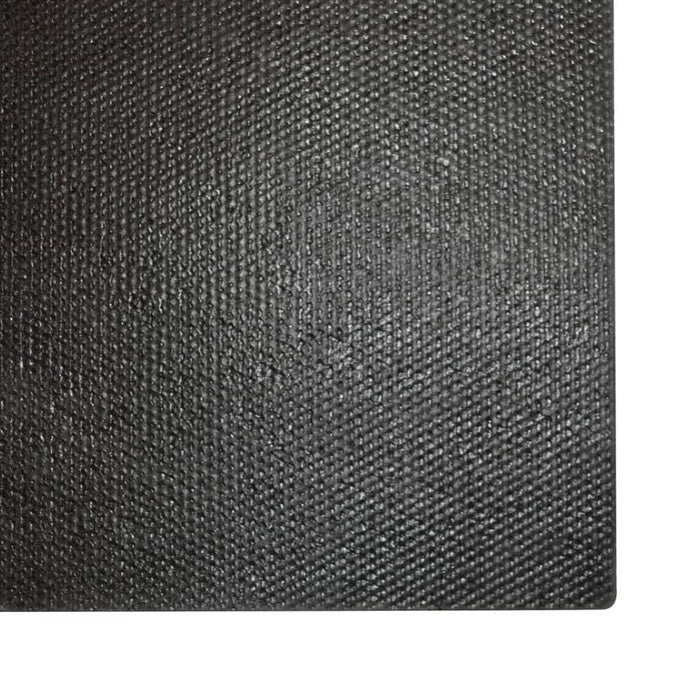 Covor intrare, fibră de nucă cocos 17 mm, 100x200 cm, negru WALTI