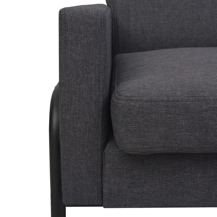 Fotoliu, gri închis, oțel și material textil WALTI