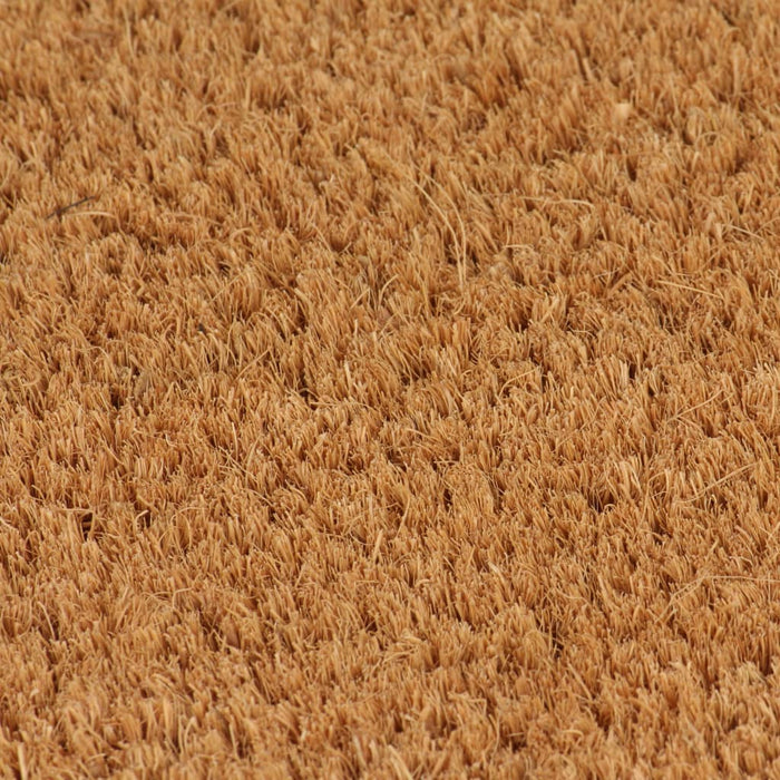 Covor intrare, fibră nucă cocos 24 mm, 150x200 cm Natural WALTI