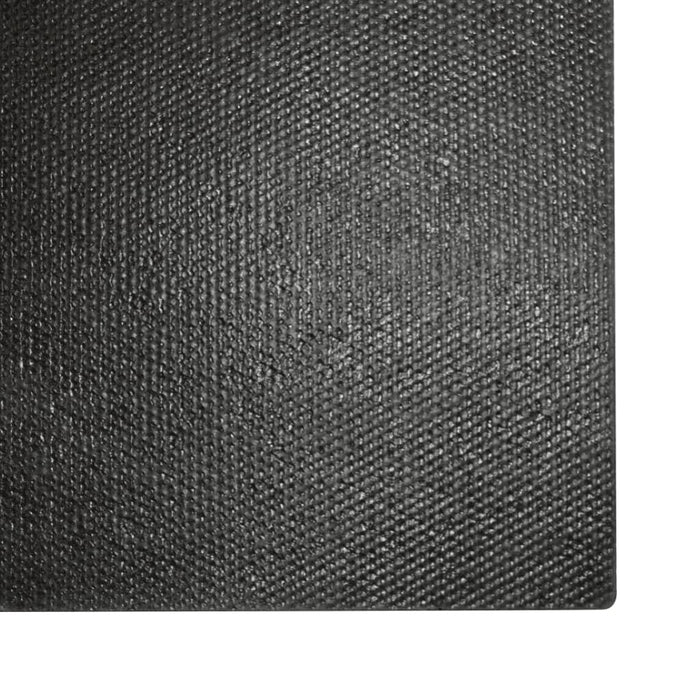 Covor intrare, fibră nucă cocos 24 mm, 150x200 cm Natural WALTI