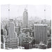 Paravan cameră pliabil, 228 x 170 cm, New York pe zi, alb/negru - WALTI WALTI