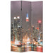 Paravan cameră pliabil, 120x170 cm, New York pe timp de noapte - WALTI WALTI