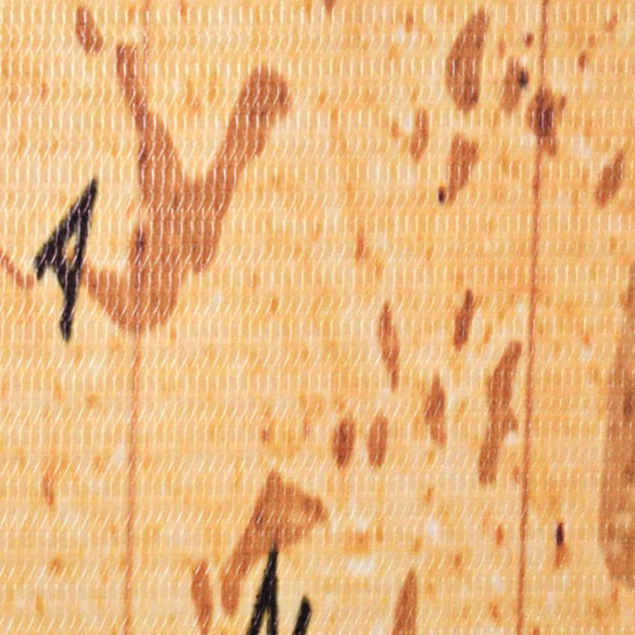 vidaXL Paravan de cameră pliabil, galben, 160 x 170 cm, harta lumii - WALTI WALTI