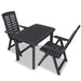 Set mobilier bistro, 3 piese, antracit, plastic - WALTI WALTI