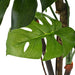 Plantă artificială Monstera cu ghiveci 170 cm Verde - WALTI WALTI