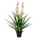 Plantă artificială Orhidee Cymbidium cu ghiveci 100 cm verde - WALTI WALTI