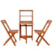 Set mobilier bistro pliabil, 3 piese, lemn masiv de acacia - WALTI WALTI