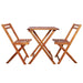 Set mobilier bistro pliabil, 3 piese, lemn masiv de acacia - WALTI WALTI