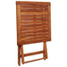 Set mobilier bistro pliabil, 3 piese, lemn masiv de acacia - WALTI WALTI