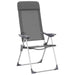 Scaune de camping pliante, 2 buc, gri, aluminiu - WALTI WALTI