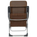 Scaune de camping pliante, 4 buc., maro, aluminiu - WALTI WALTI