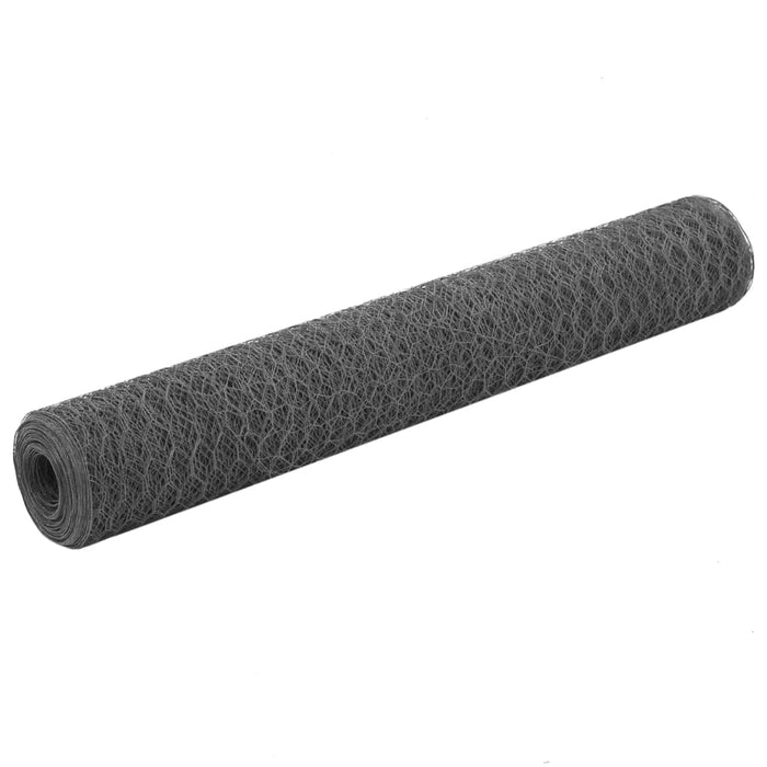 Plasă de sârmă găini, gri, 25 x 1 m, oțel cu înveliș PVC - WALTI WALTI