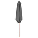 Umbrelă de soare de exterior, stâlp din lemn, antracit, 270 cm - WALTI WALTI