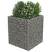 Strat înălțat gabion, 90 x 90 x 100 cm, oțel galvanizat - WALTI WALTI