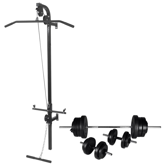 Turn de forță montat pe perete, set haltere și gantere 60,5 kg WALTI