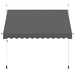 Copertină retractabilă manual, antracit, 300 cm - WALTI WALTI