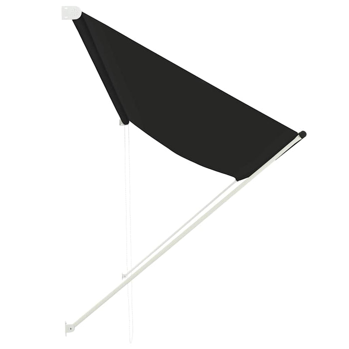 Copertină retractabilă, antracit, 350 x 150 cm - WALTI WALTI