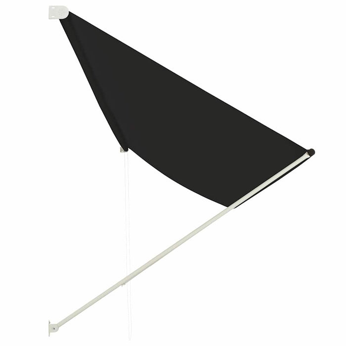 Copertină retractabilă, antracit, 400 x 150 cm - WALTI WALTI