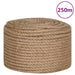 Frânghie, 250 m, iută 100%, 14 mm - WALTI WALTI