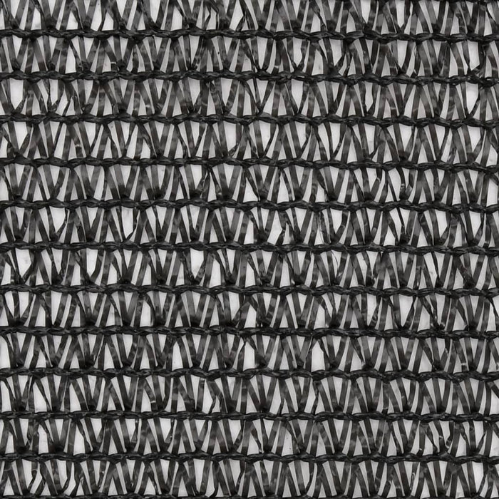 Plasă protecție vizuală, negru, 2x10 m, HDPE WALTI
