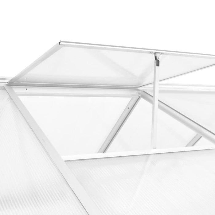 Seră, 11,19 m³, 302x190x195 cm, aluminiu - WALTI WALTI