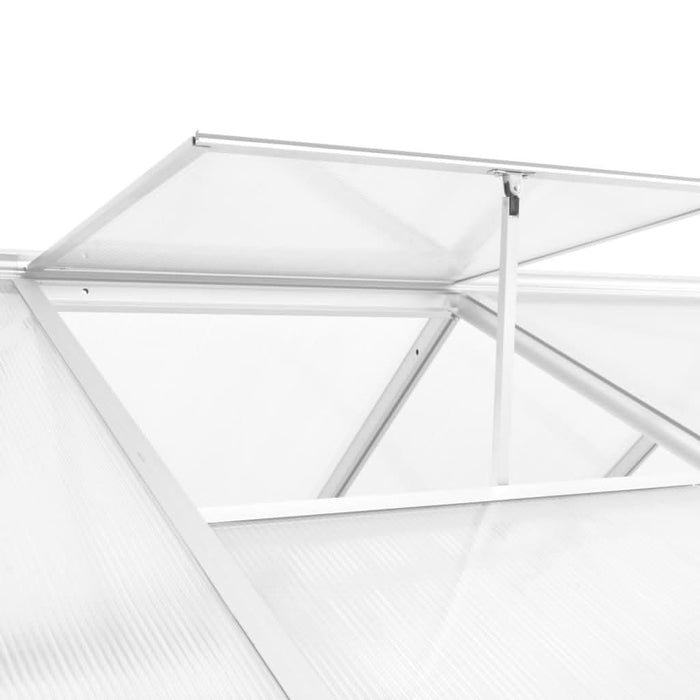 Seră, 15,6 m³, 421x190x195 cm, aluminiu - WALTI WALTI