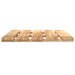Plăci pentru Deck 6 pcs Maro 50 x 50 cm - WALTI WALTI