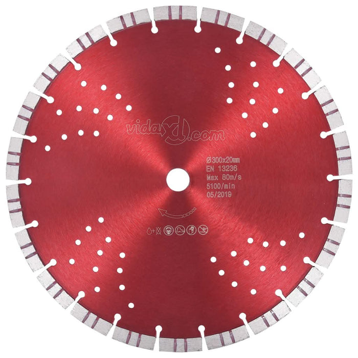 Disc diamantat de tăiere cu segmente turbo și găuri oțel 300 mm - WALTI WALTI
