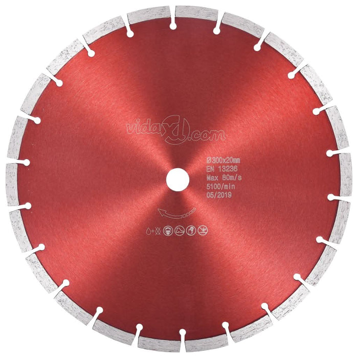 Disc diamantat de tăiere, oțel, 300 mm - WALTI WALTI