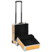 Troler de cosmetice, auriu, 35 x 29 x 45 cm, aluminiu - WALTI WALTI