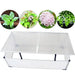 Miniseră cu capac 110 x 41 x 55 cm - WALTI WALTI