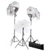 Set lumini studio: 24 wați cu trepiede și umbrele - WALTI WALTI